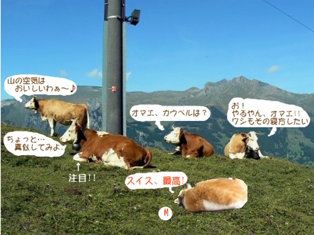 スイスの牛さん.jpg