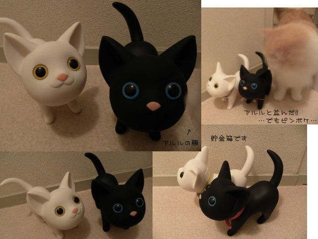 白黒猫さん.jpg
