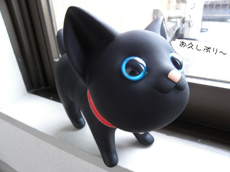 黒猫さん.JPG
